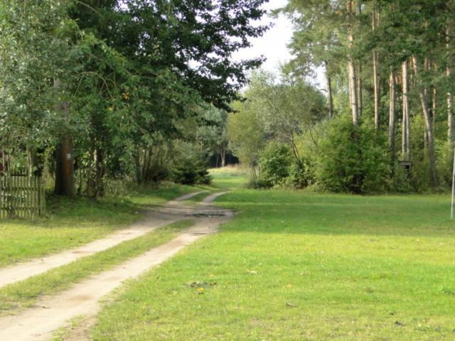 Agroturystyka Nad Jeziorem Sopien Brzozie Buitenkant foto