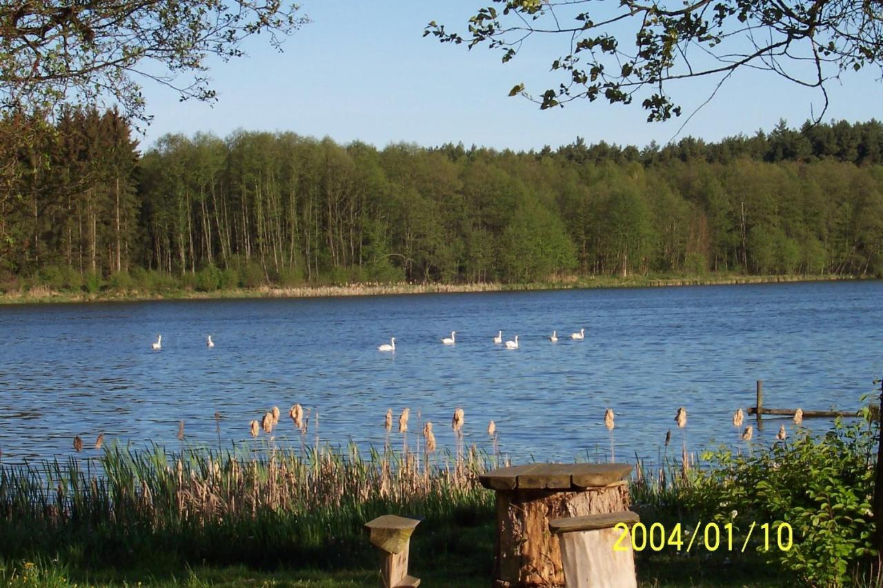 Agroturystyka Nad Jeziorem Sopien Brzozie Buitenkant foto